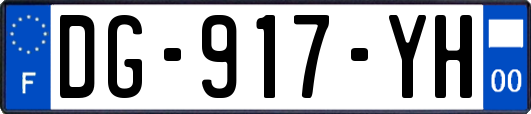 DG-917-YH