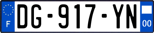 DG-917-YN