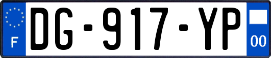 DG-917-YP