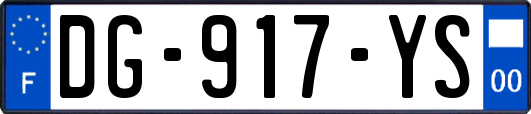 DG-917-YS