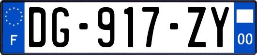 DG-917-ZY