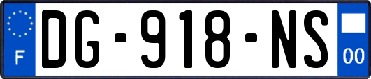 DG-918-NS