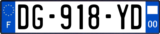DG-918-YD
