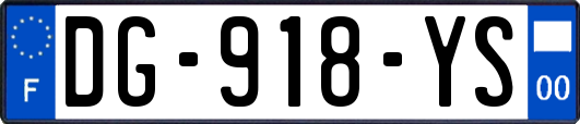 DG-918-YS