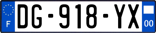 DG-918-YX