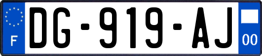 DG-919-AJ