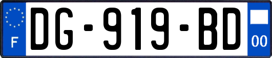 DG-919-BD