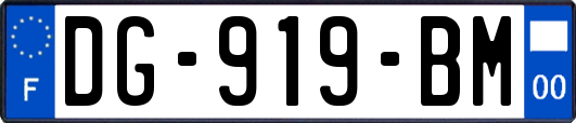 DG-919-BM