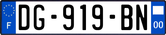DG-919-BN