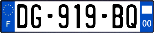 DG-919-BQ