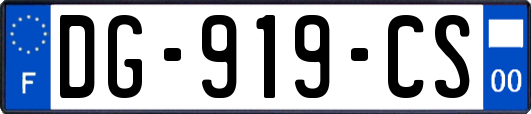 DG-919-CS