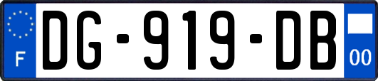 DG-919-DB