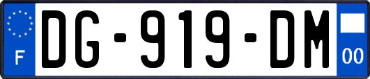 DG-919-DM