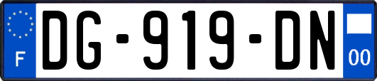 DG-919-DN