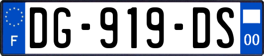 DG-919-DS