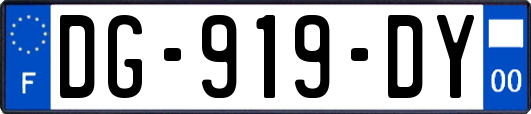 DG-919-DY