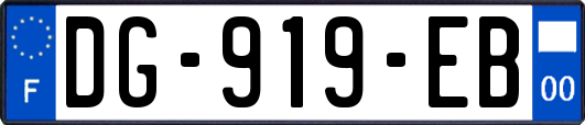 DG-919-EB