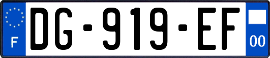 DG-919-EF