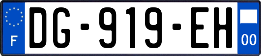 DG-919-EH