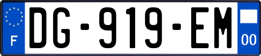 DG-919-EM