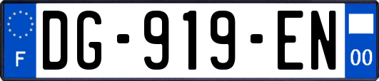 DG-919-EN