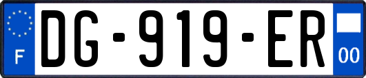 DG-919-ER