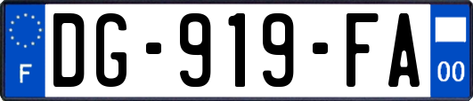 DG-919-FA