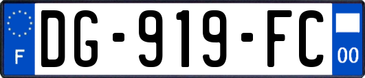 DG-919-FC