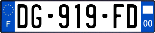 DG-919-FD