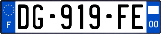 DG-919-FE