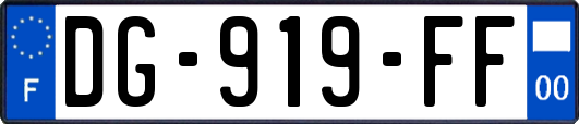 DG-919-FF