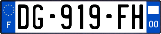 DG-919-FH