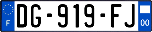 DG-919-FJ