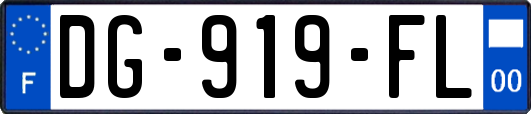 DG-919-FL