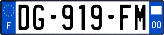 DG-919-FM