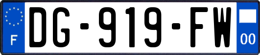 DG-919-FW