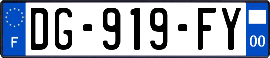 DG-919-FY