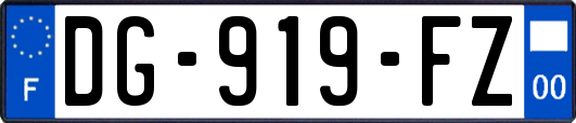 DG-919-FZ