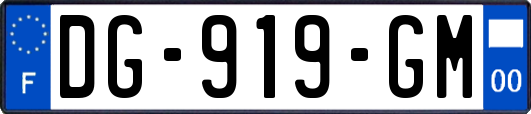 DG-919-GM