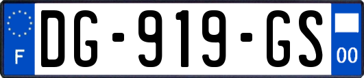 DG-919-GS