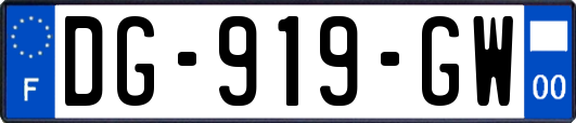 DG-919-GW