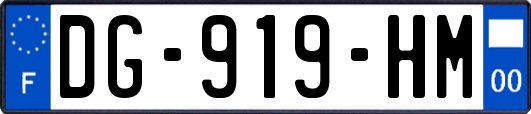 DG-919-HM