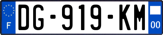 DG-919-KM