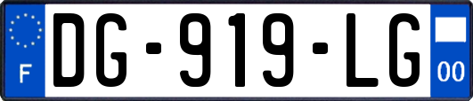 DG-919-LG