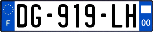 DG-919-LH