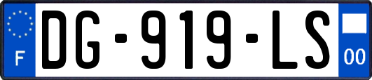 DG-919-LS