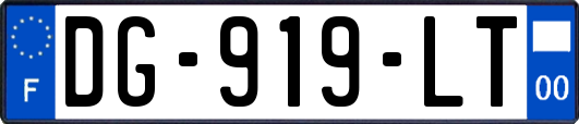 DG-919-LT
