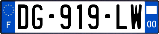 DG-919-LW