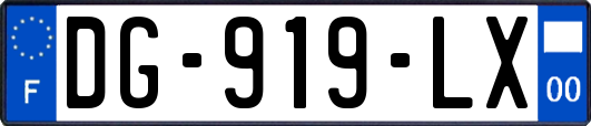 DG-919-LX
