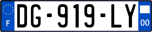 DG-919-LY